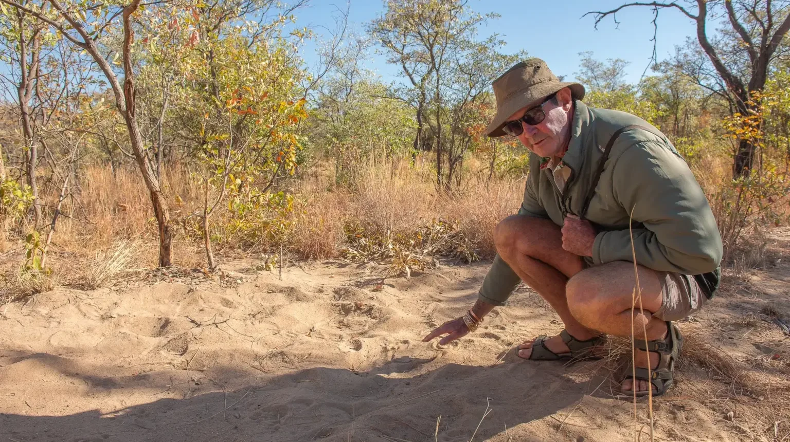 Zimbabwe e Zambia Safari: antichi sentieri in campeggio