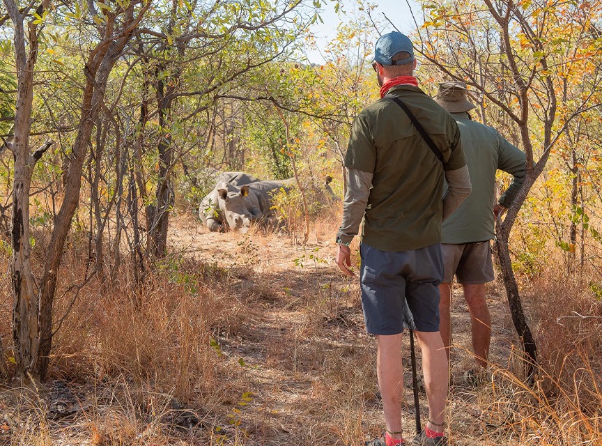 Namibia, Botswana e Zimbabwe: dalle dune alle Cascate Vittoria