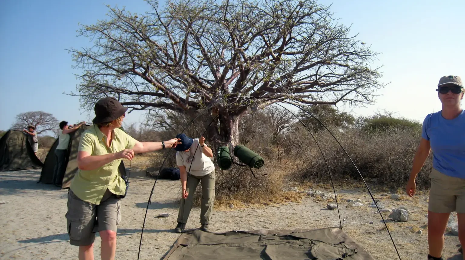 Zimbabwe e Botswana Game Trail: dal Kruger all'Okavango