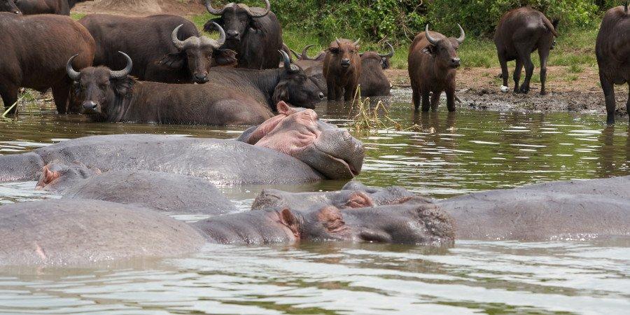 Uganda Adventure